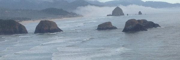 alicarps Profile Banner