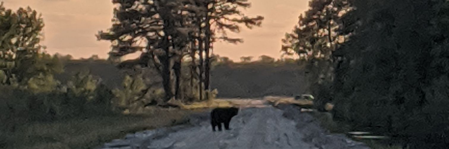 GodsNCGirl's profile banner image