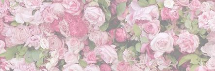 megantongex's profile banner image