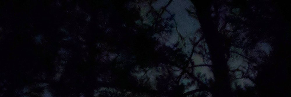 Mypprivoise's profile banner image