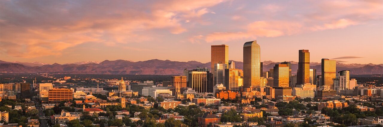 Lynne Doherty banner