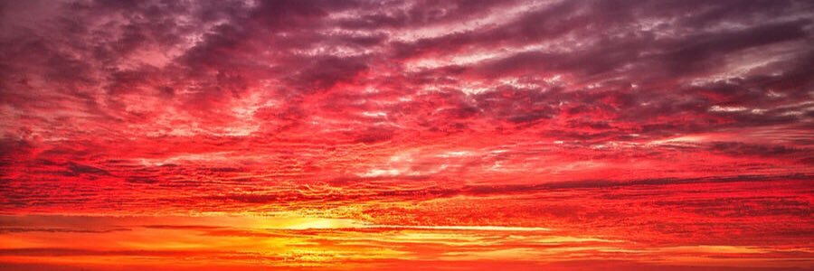 Lifetime Sooner banner