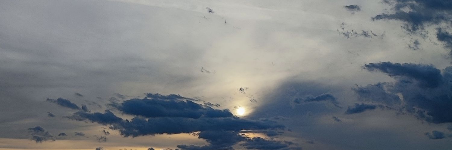 eternalshes's profile banner image