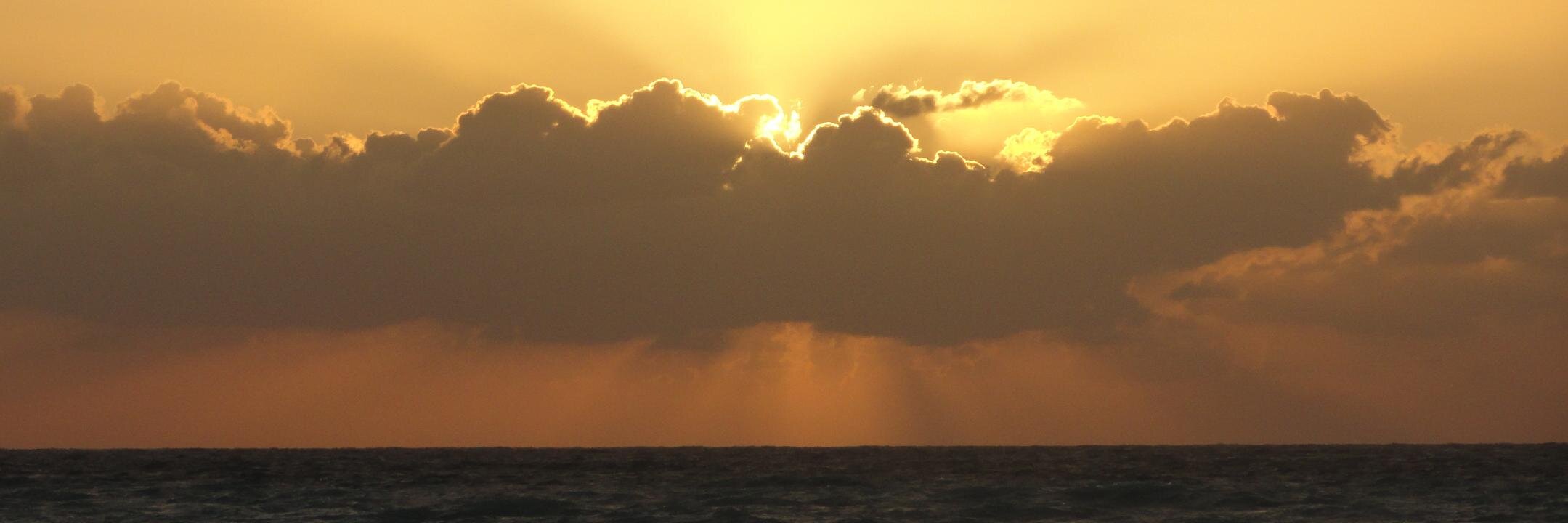 Sally Rideout banner