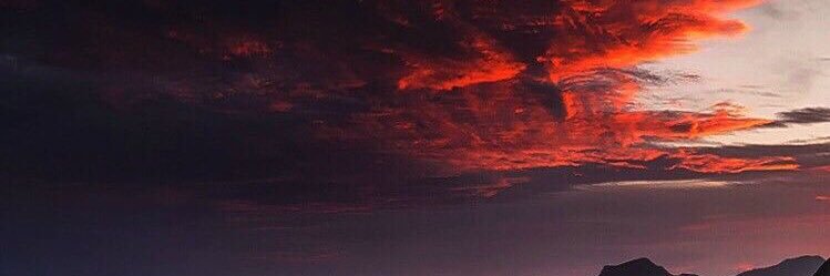 loadedgunZx's profile banner image