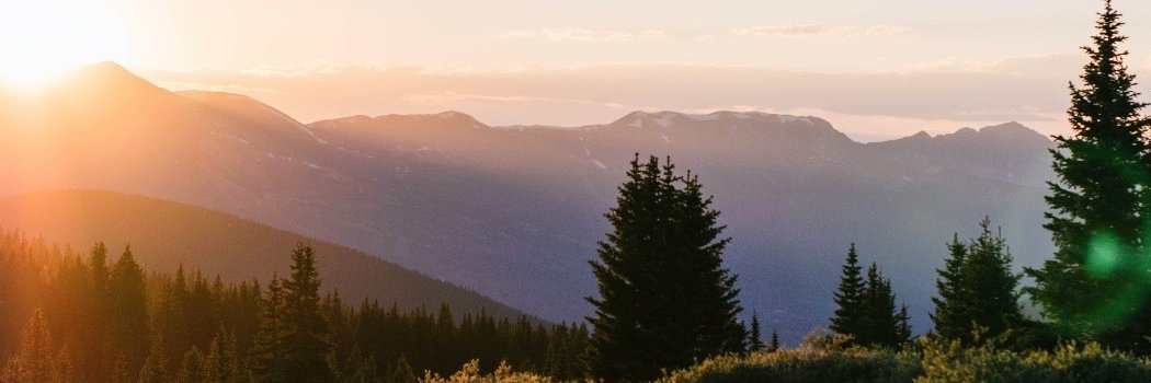 MichelleVock's profile banner image