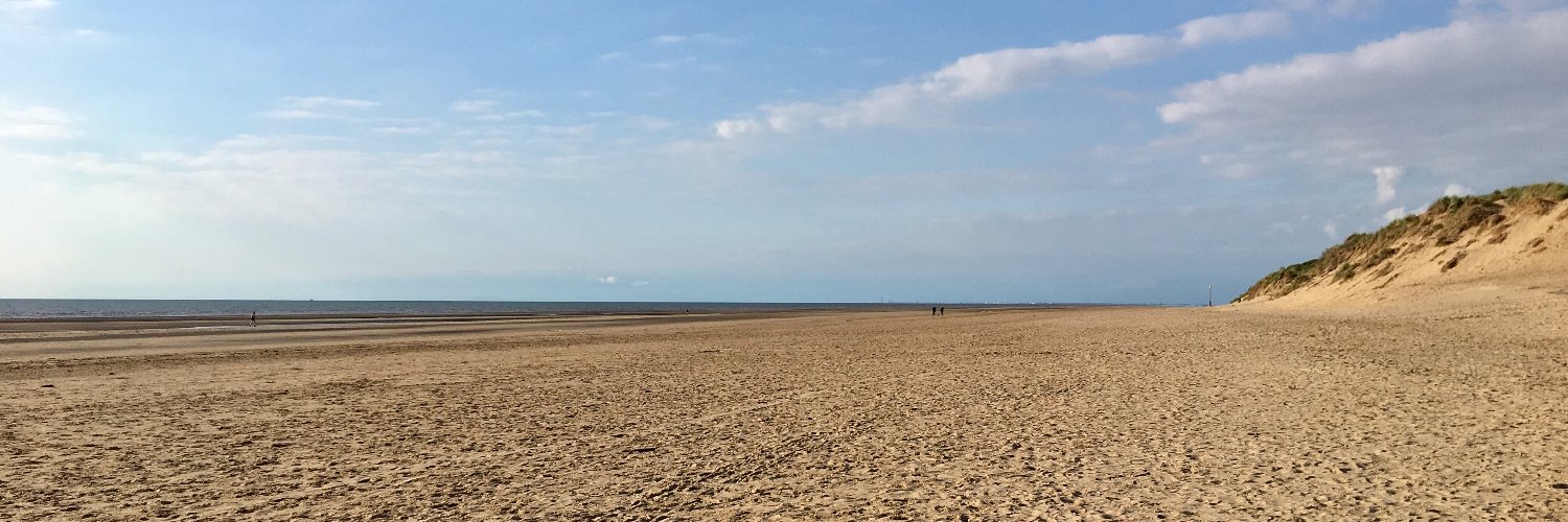 Steph Harrison banner