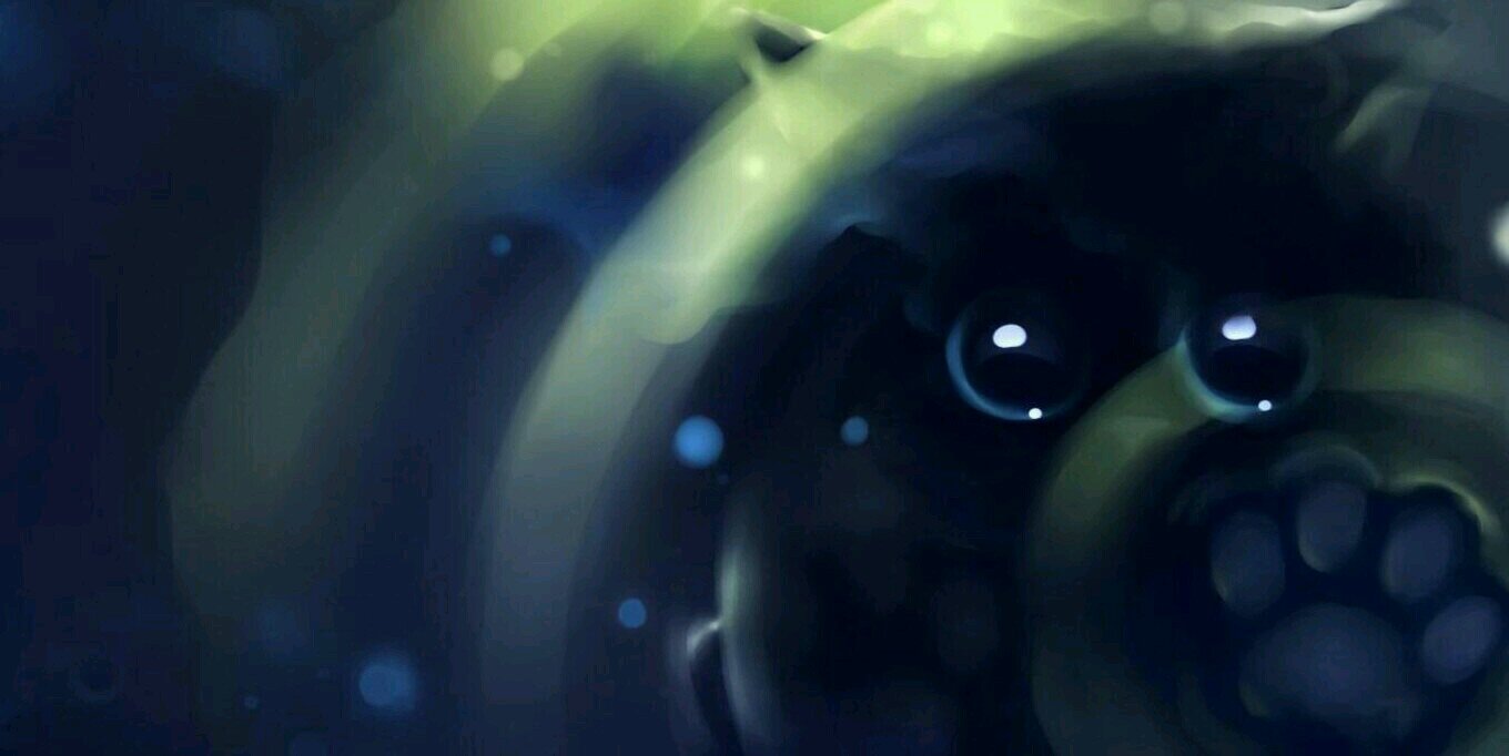 SpottedDark's profile banner image