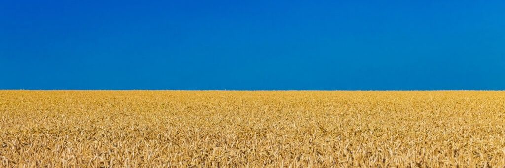 🇨🇦🇺🇦Ceeber🇺🇦🇬🇱 banner