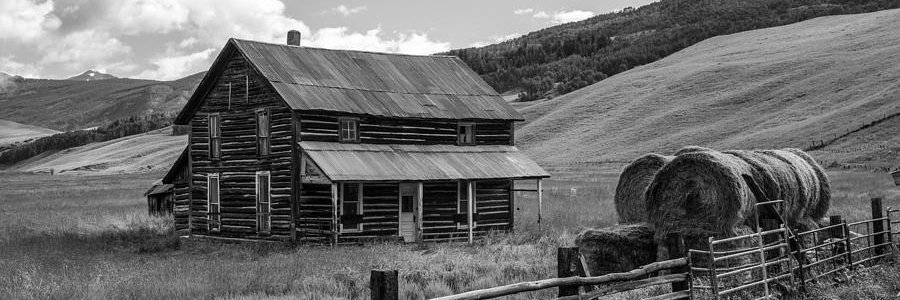 CritterHoller's profile banner image