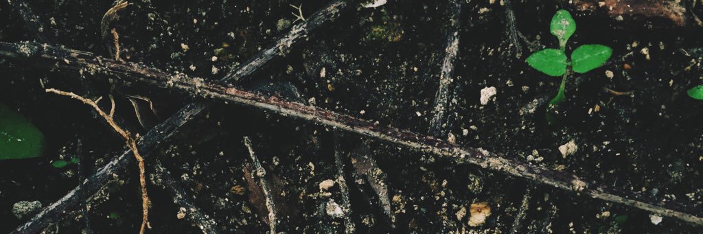 CrissJimenezDev's profile banner image