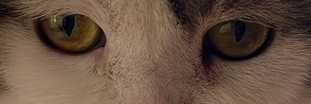 syx048's profile banner image
