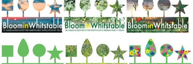 bloominwhit's profile banner image