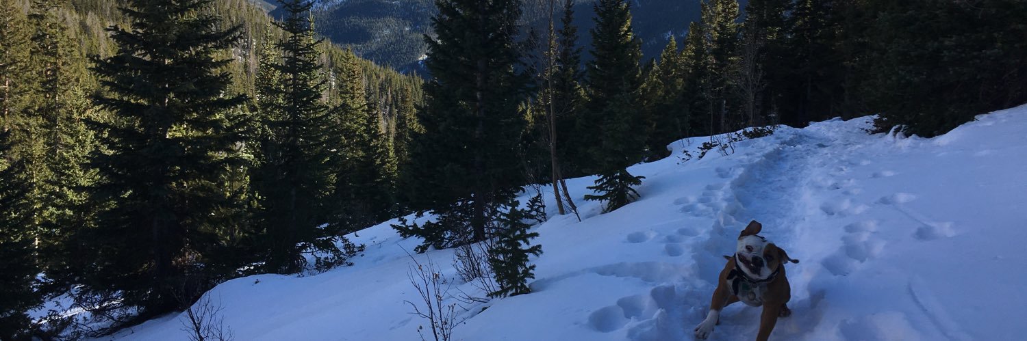ImTheDudeMan_'s profile banner image