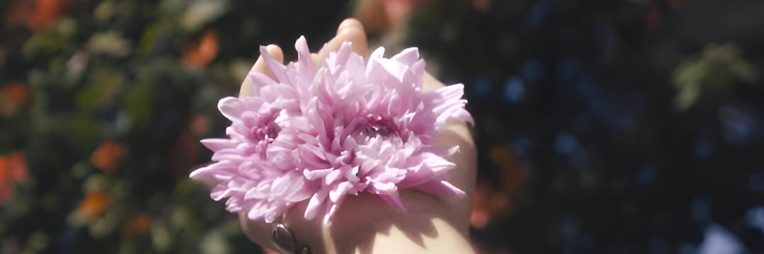 jessaayaa's profile banner image