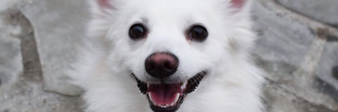 vanessafarhar's profile banner image