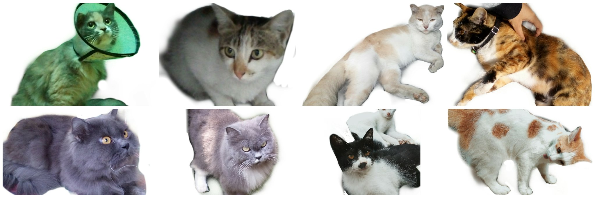 Kittendull's profile banner image