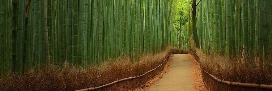 Misanthropic Lycanthrope banner