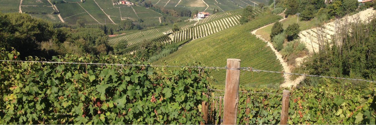 STLSchoolOfWine's profile banner image
