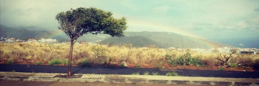 Lillusion's profile banner image