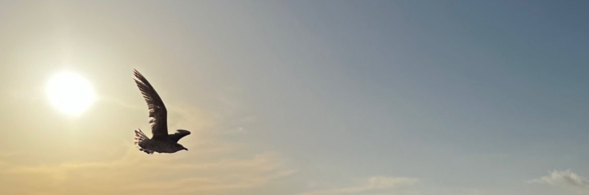 markcoyle65's profile banner image