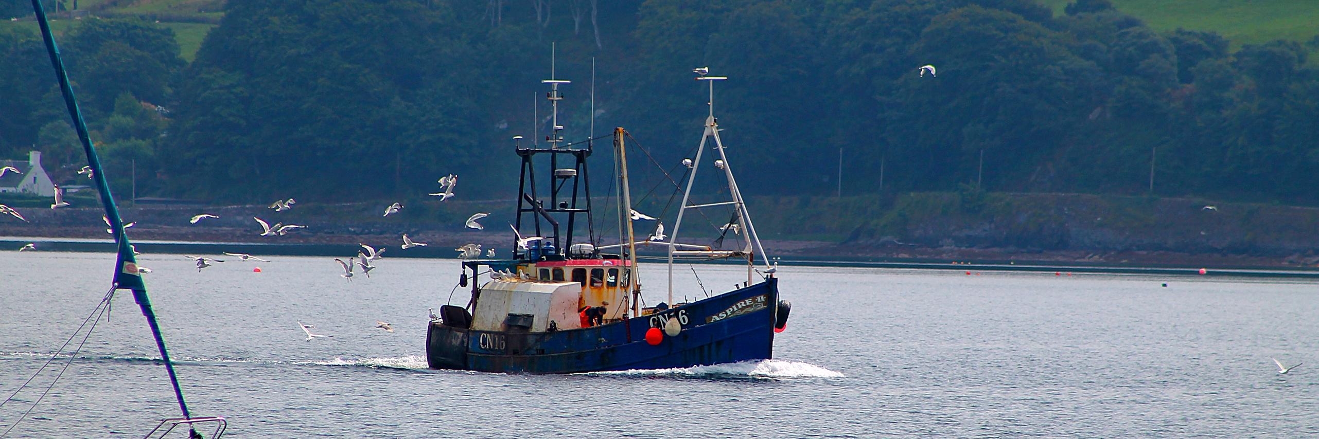 argyllforum's profile banner image
