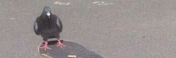 bigbobbybugatti's profile banner image