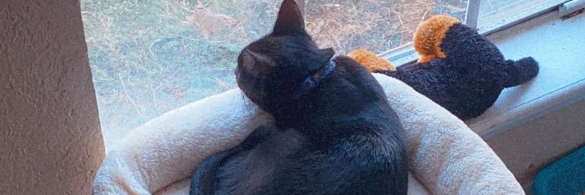 max_maxipoo's profile banner image