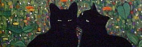 _saaawetta's profile banner image