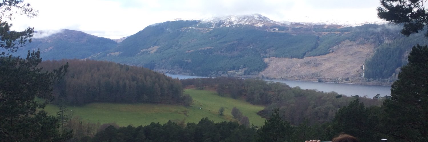 C∆T ∆NDΞRSON 🌙 banner