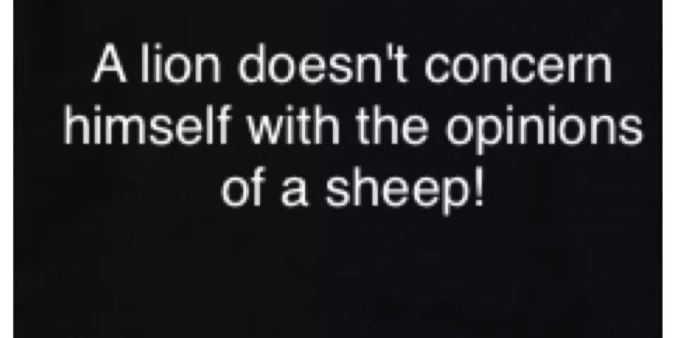 C_cileF's profile banner image