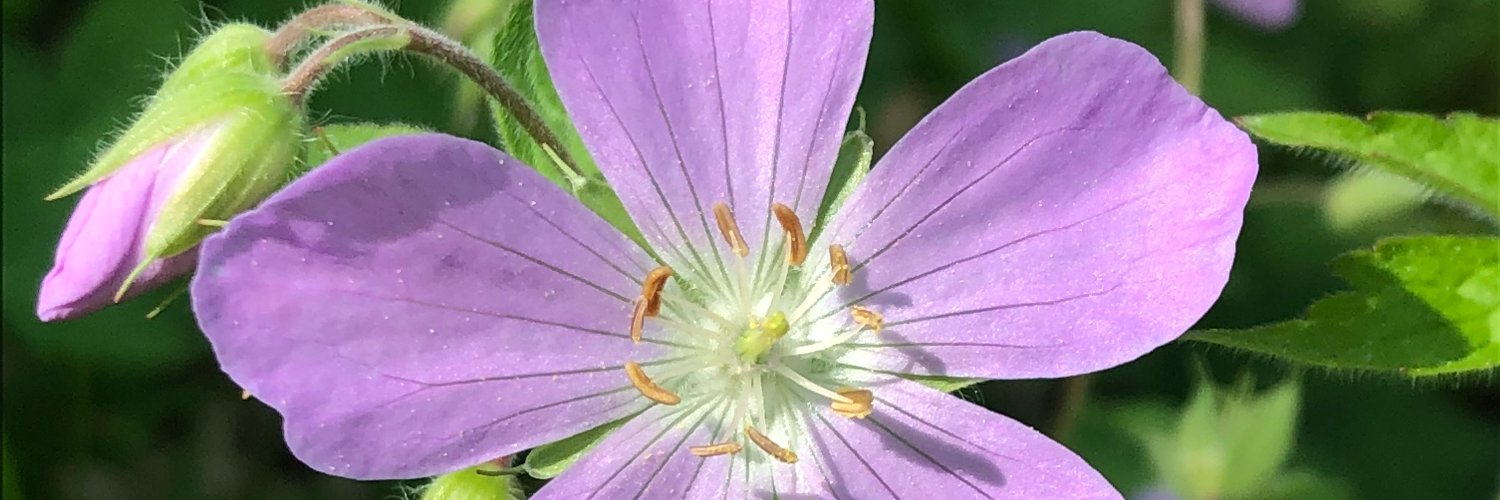 Kettering Parks, Recreation and Cultural Arts banner