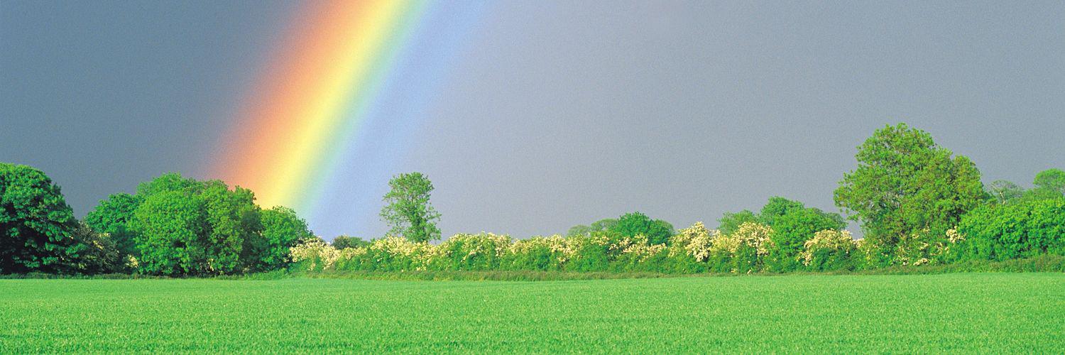 Victoraj33's profile banner image