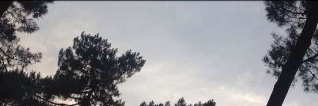 Quentindrg's profile banner image