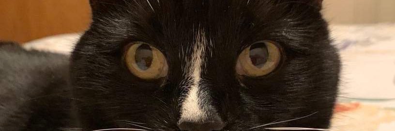 Johnny7i's profile banner image