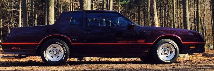 Angry Canuck🇨🇦 (blue check) banner