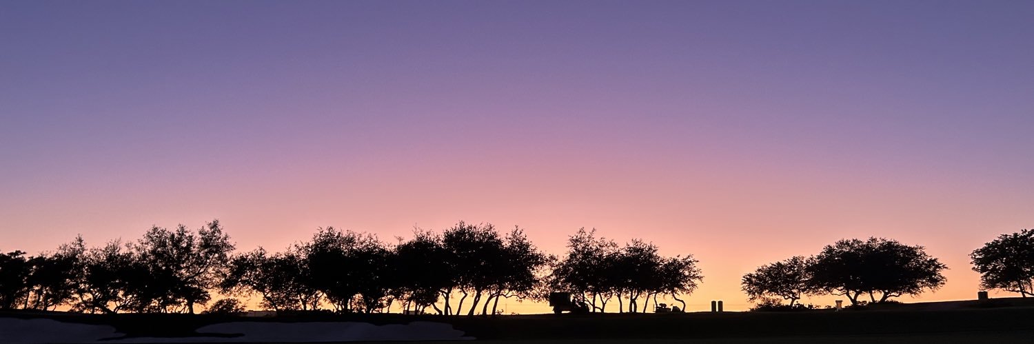 Lesley Thomas banner