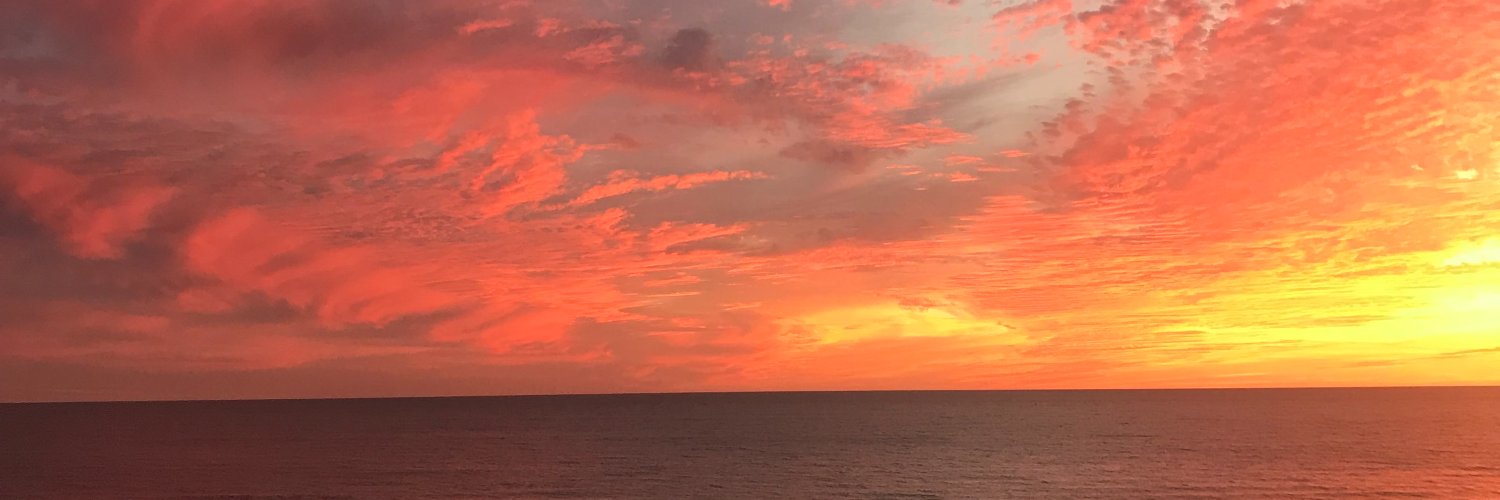 iamtylerbee's profile banner image