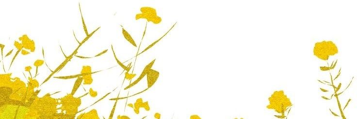 MeiriskaDR's profile banner image