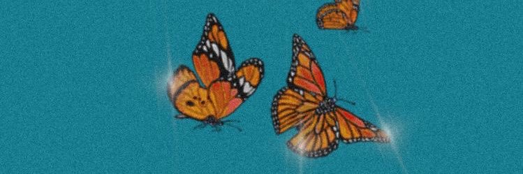 AdamWaryam's profile banner image