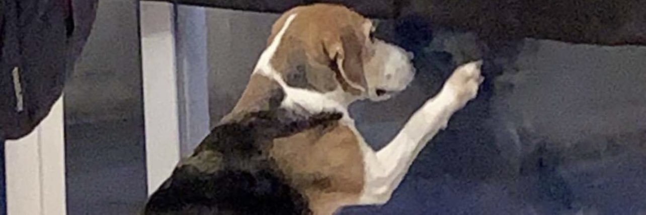 AustinTheBailey's profile banner image