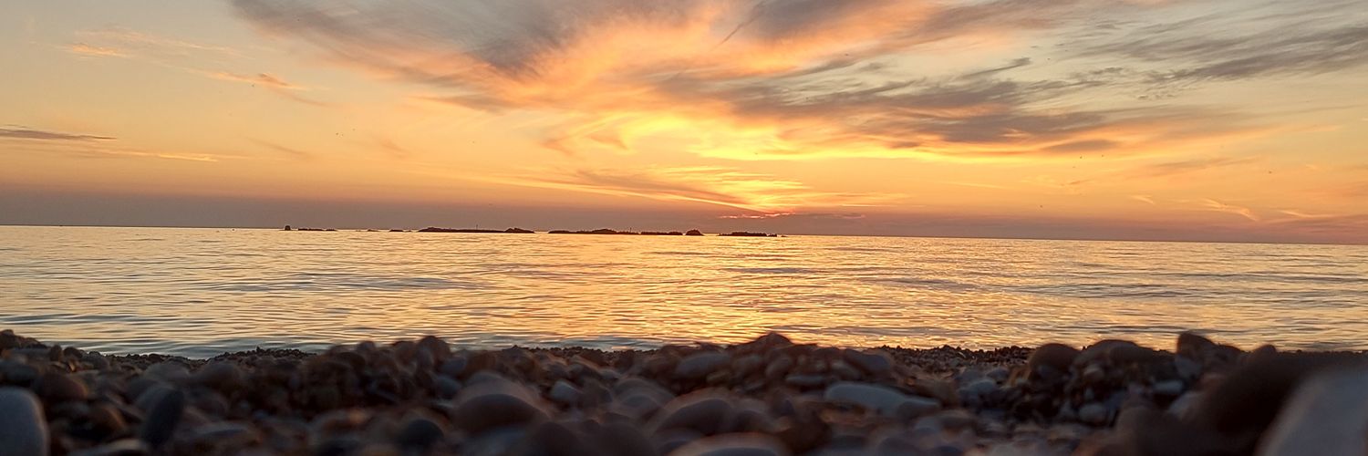RHoegler's profile banner image