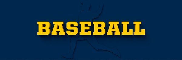 Michigan Baseball Profile Banner