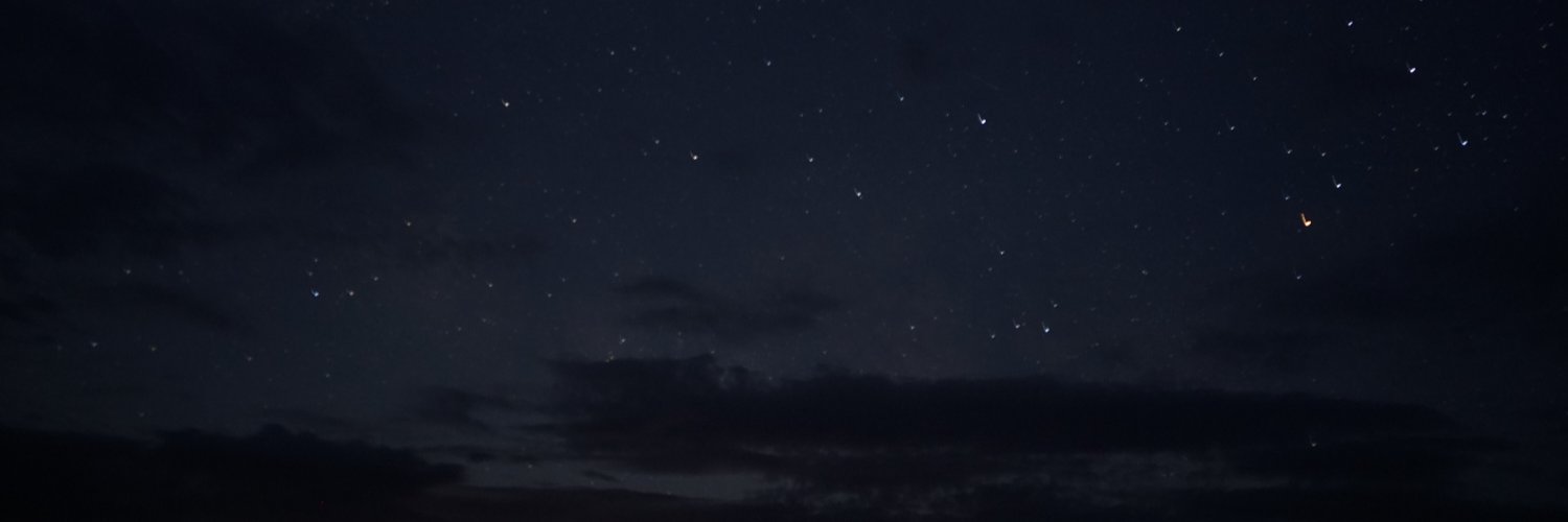 Wolf banner