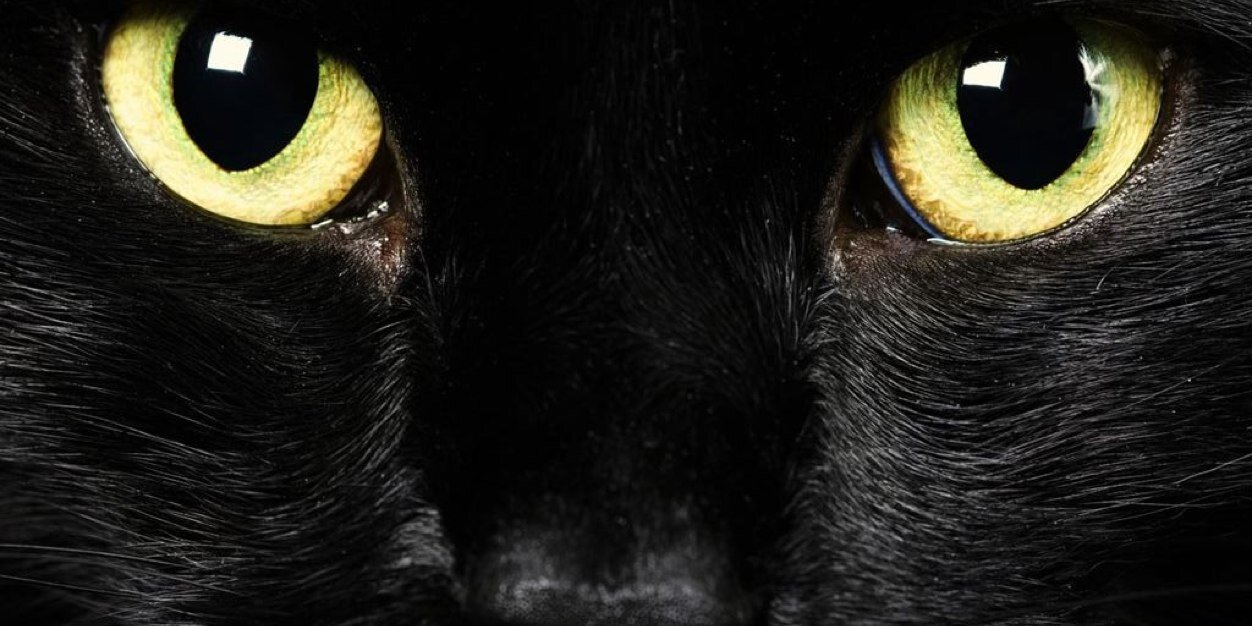 bigmouse1983's profile banner image