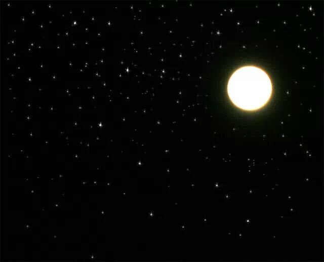 delAngelRau's profile banner image