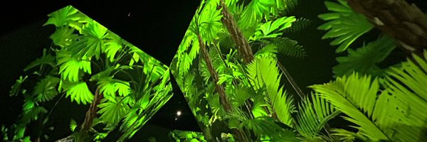 julpar75 Profile Banner