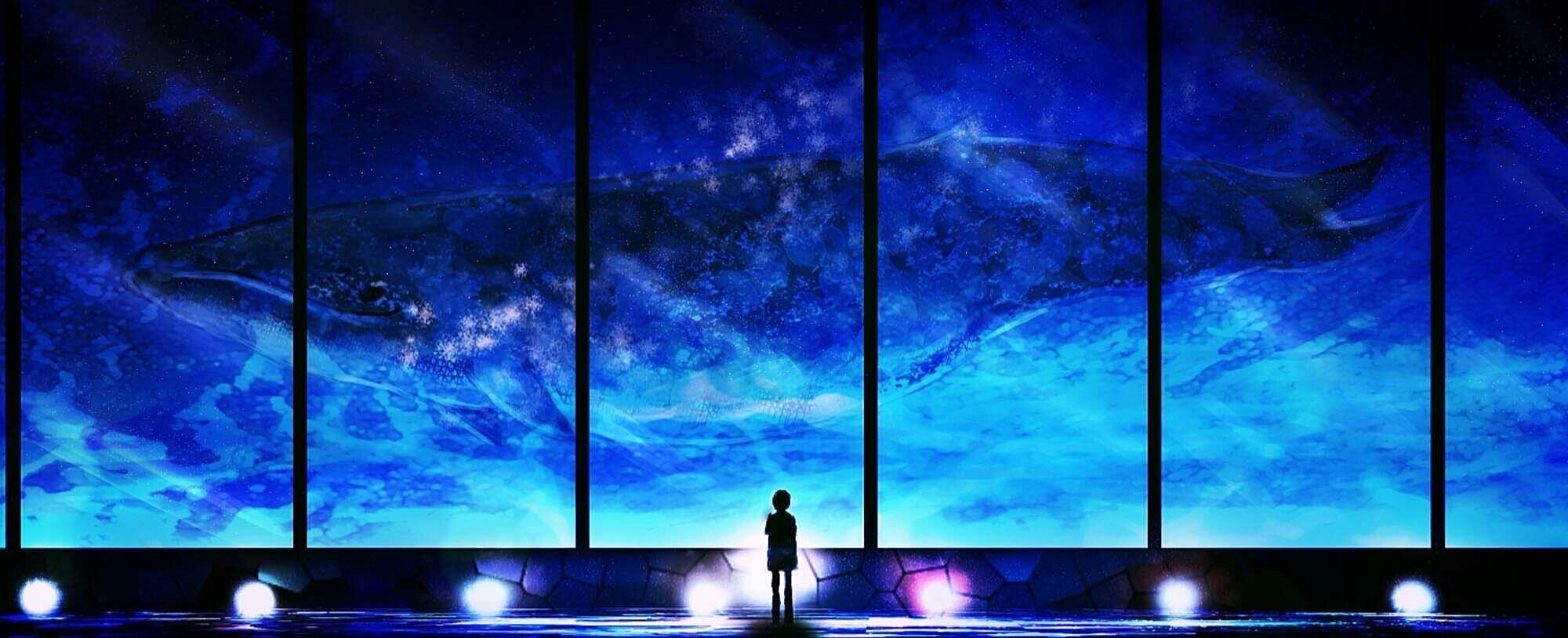 tnwilly23's profile banner image