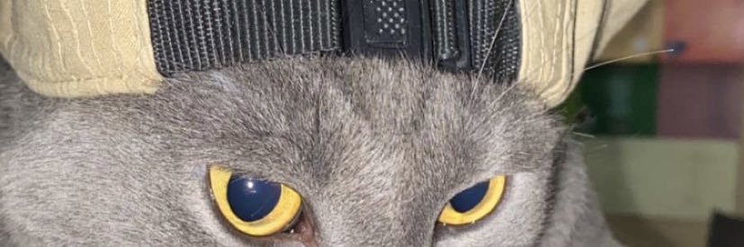 bfahrm7's profile banner image