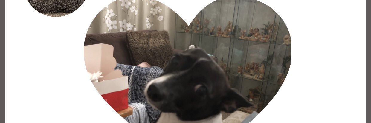 Lisa_Wileman's profile banner image